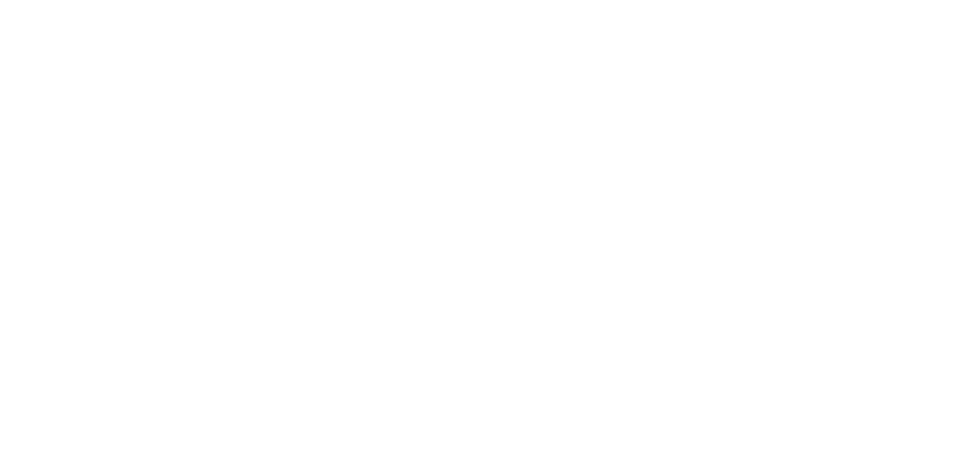 logo light