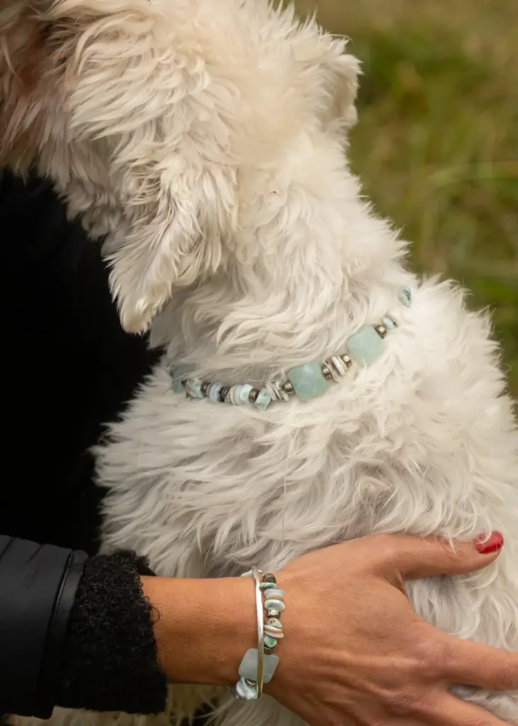 Collier Bijoux